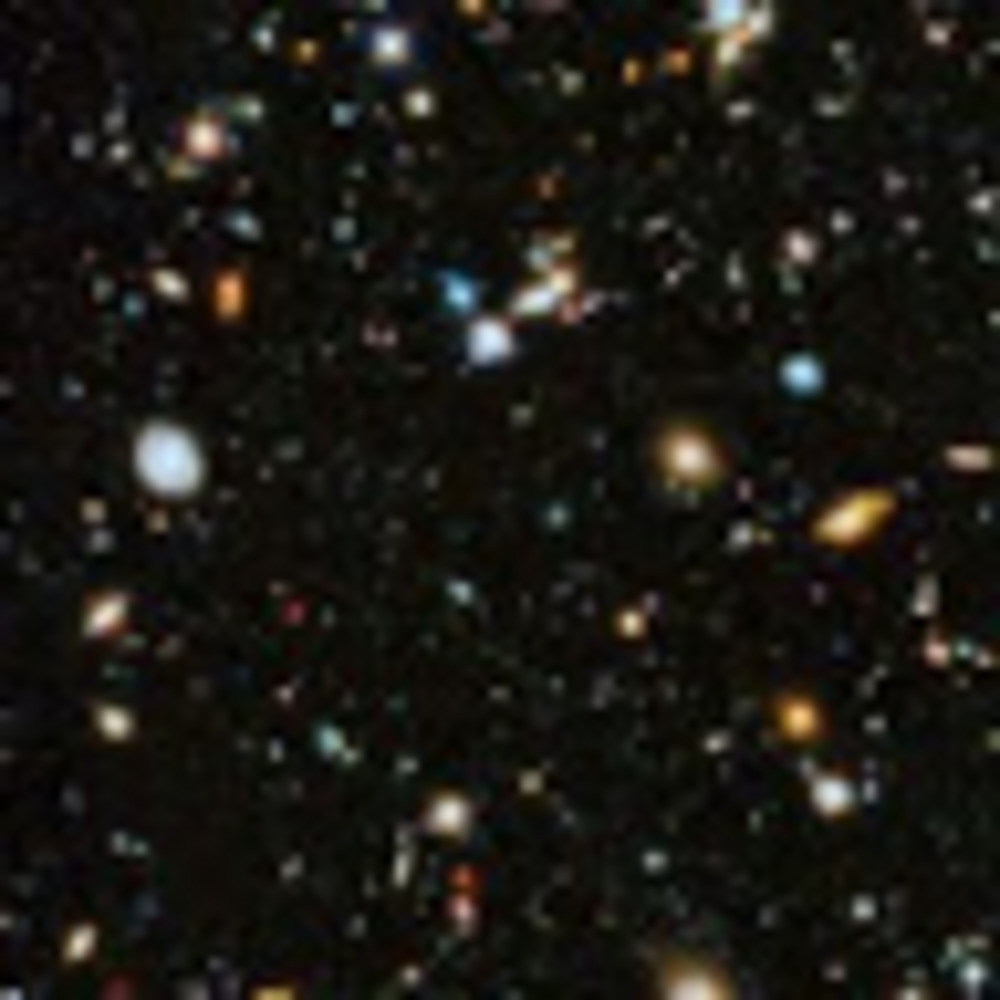 Meet your Posher, Kid